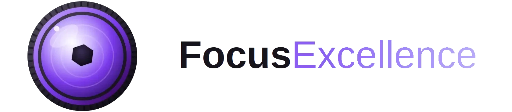 focusexcellence.com